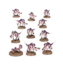 Warhammer 40,000 : Introductory Set